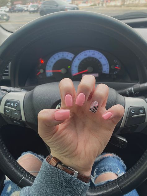 Pink cowprint nails #cowprint #cowprintnails #nailsofinstagram #western Light Pink Western Nails, Valentines Nails Western, Cow Print Nails Square, March Square Nails, Western Valentine Nails, Pink Cowprint Nails, Pink Western Nails, Pink Cow Print Nails, Rodeo Nails