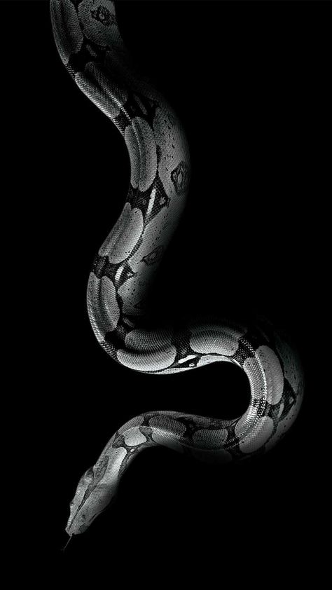 Black Snake Wallpaper Aesthetic, Xr Wallpaper, Backgrounds Black, Snake Oil, Pretty Snakes, Snake Wallpaper, Basic Girl, Cute Snake, Snake Art