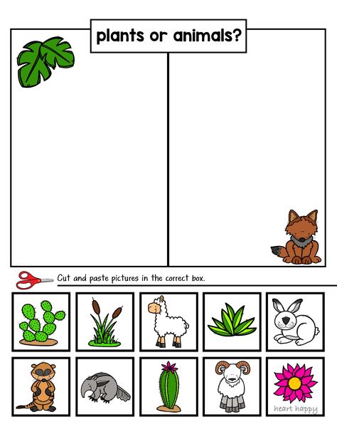 Encourage Pre-K and Kinder students to practice their classification and early critical thinking skills with these nature-themed sorting activities. Great for classrooms or homeschooling. Preschool Classification Activities, Nature Activity For Preschool, Classification Activities Preschool, Nature Worksheets For Preschool, Preschool Nature Theme, Animal Themed Activities For Kids, Pre K 3 Activities, Plants Activities For Preschool, Nature Worksheets For Kids