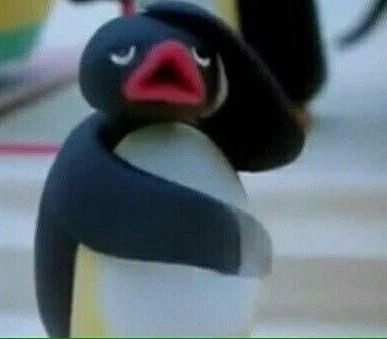 Pingu Memes, Pingu Pingu, What Meme, Noot Noot, You Meme, Cartoon Memes, Cute Memes, Wholesome Memes, Reaction Pictures