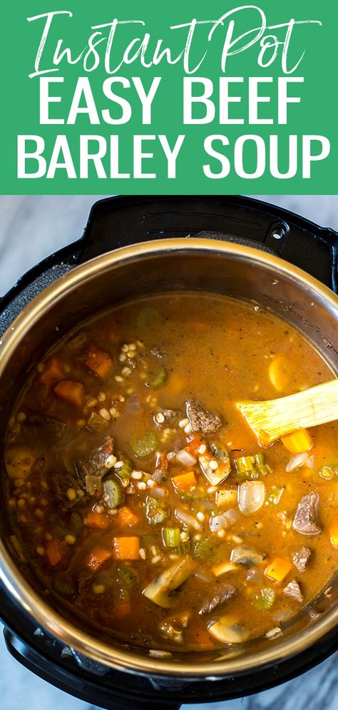 Instant Pot Soup Recipe, Beef Barley, Beef Barley Soup, Instant Pot Soup Recipes, Potted Beef, Barley Soup, Instant Pot Soup, Savory Soups, Tender Beef