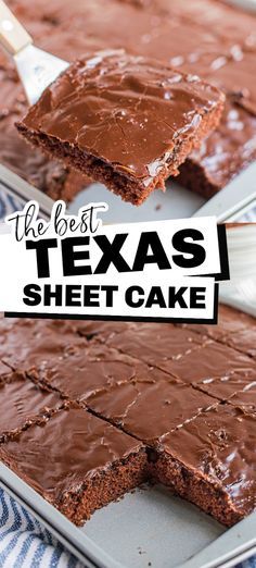 Ree Drummond Texas Sheet Cake, Brownie Sheet Cake Recipe, Texas Sheet Cake Small Batch, Texas Sheet Cake Easy, Texas Sheet Cake Recipe 9 X 13, The Best Texas Sheet Cake, Sheet Cake Brownies With Frosting, Texas Sheet Cake Without Buttermilk, Texas Sheet Cake Using Box Cake