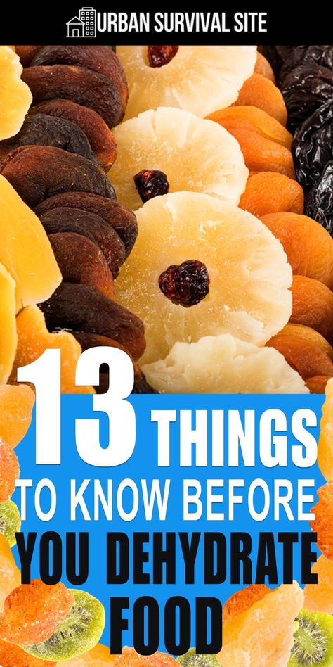 13 Things To Know Before You Dehydrate Food Dehydrator Recipes Fruit, Dehydrating Food Storage, Food Dehydration, Dehydrated Vegetables, Preserve Food, Canning Food Preservation, Dehydrated Fruit, Dehydrated Food, Survival Food