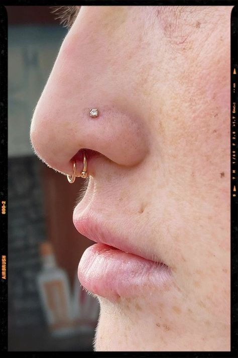 Double Septum Piercing Double Septum Ring, Septum Piercing Placement, Double Septum Piercing, Double Nose Piercing With Septum, Dainty Septum Piercing, Septum Piercing Gold, Double Septum, Strong Nose, Double Nostril Piercing