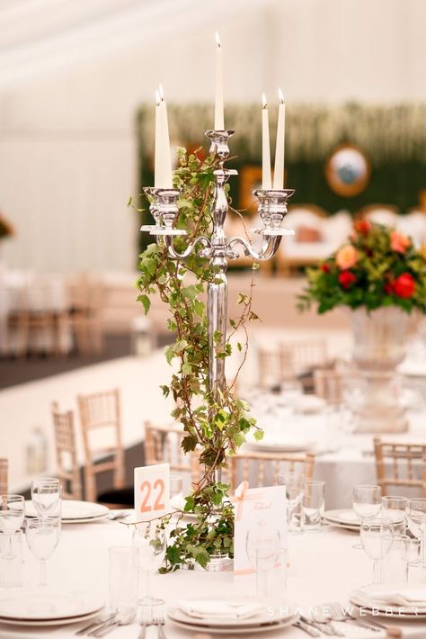 Jesus Wedding, Thornton Manor, Ivy Wedding, Old World Wedding, Candelabra Wedding, Candelabra Centerpiece, Vintage Boho Wedding, Diy Wedding Table, Why Read