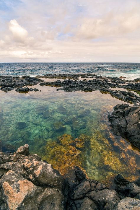 Hawaii Tide Pools, Tidepool Photography, Tidepool Aesthetic, Makapuu Tidepools, Mermaid Pool, Ocean Pool, Hawaii Ocean, Resale Clothing, Tidal Pool