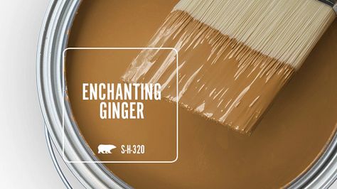 ENCHANTING GINGER S-H-320 | Behr Paint Colors Gold Paint Behr, Gold Hearted Behr Paint, Behr Herb Cornucopia, Rust Exterior Paint House Colors, Moody Boho Paint Colors, Brown Paint Colors Behr, North Woods Behr Paint, Cognac Paint Color, Cinnamon Paint Colors