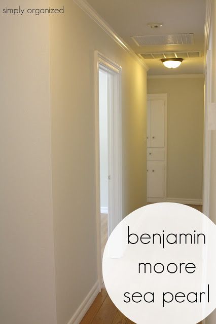 My Home Interior Paint color palate - Simply Organized Seapearl Benjamin Moore Walls Living Room, Bm Sea Pearl Paint, Bm Seapearl Walls, Benjamin Moore Sea Pearl Paint, Sea Pearl Paint, Benjamin Moore Sea Pearl, Sea Pearl Benjamin Moore, Bm Seapearl, Seapearl Benjamin Moore