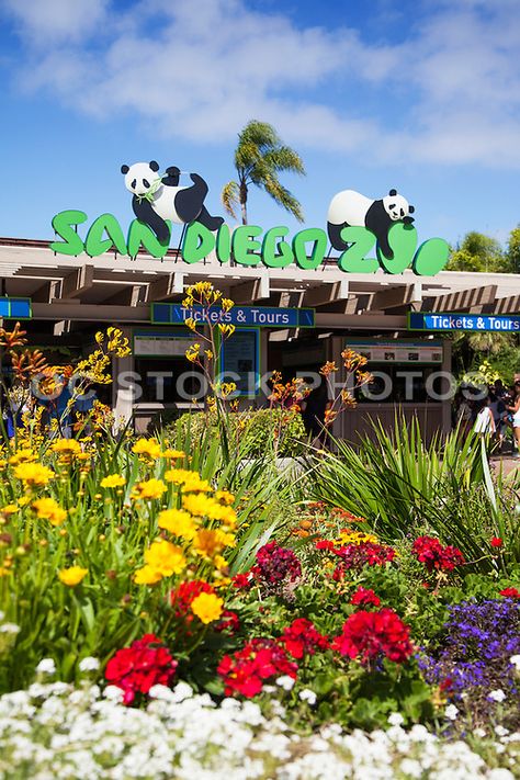 San Diego Zoo Aesthetic, Zoo Inspiration, Balboa Park San Diego, Travel California, Painting Reference, The Nanny, Senior Trip, Vacation Memories, San Diego Zoo