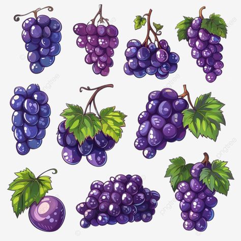 grape wine bunch set cartoon grape wine bunch png Grapes Clipart, Science Food, Colored Drawings, Kitchen Science, Grape Wine, Transparent Image, Food Crafts, Mandala Drawing, Free Png