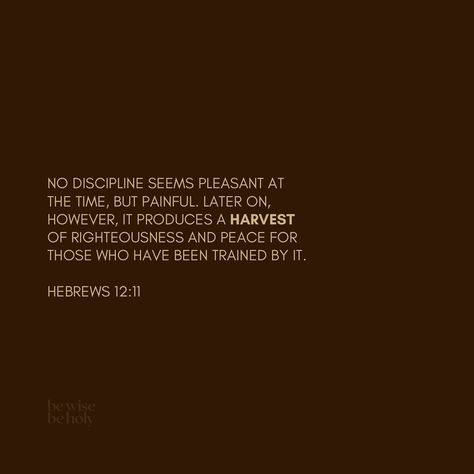 → Hebrews 12:11🕊️ @bewisebeholy Discipline leads to Habits. Habits lead to Consistency. Consistency leads to Growth. Hebrews 12:11, Hebrews 12 11, Hebrews 12, Stay Blessed, Trust God, Jesus Christ, Jesus, Wallpapers, Quick Saves