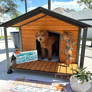 Dog House Outdoor Large Insulated Dog Kennel with Liner for Winter Waterproof Dog Cage for Small & Medium & Large Dogs,Unique All-Around Iron Frame Dog House Outdoor Large, Insulated Dog Kennel, Amazing Dog Houses, Large Dog House Outdoor, Dog House With Porch, Dog House Outdoor, Pet Enclosures, Plastic Dog House, Raised Floor