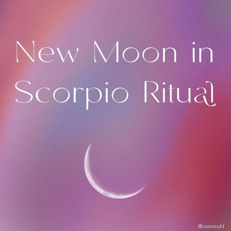 The new moon in deep Scorpio offers you an opportunity to explore your deepest desires and be curious about how to bring them into the world, no matter how uncomfortable it may be. Check out a Ritual for the New Moon in Scorpio Scorpio New Moon, Scorpio Characteristics, New Moon In Scorpio, Moon In Scorpio, Next Full Moon, Moon Energy, New Moon Rituals, Be Curious, Scorpio Moon