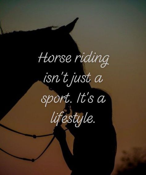 Horse Inspirational Quotes, Equestrian Quotes Inspirational, Short Horse Quotes, Horse Love Quotes, Horseback Riding Quotes, Cute Horse Quotes, Rodeo Quotes, Lucky Quotes, Equine Quotes