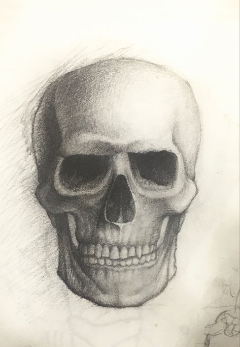 Anatomical Skull Drawing, Skull From The Side Drawing, Skull Front View Drawing, Skull Face Drawing, Skull Shading, Skull Front View, Shading Faces, Natural Forms Gcse, Mecha Tanks