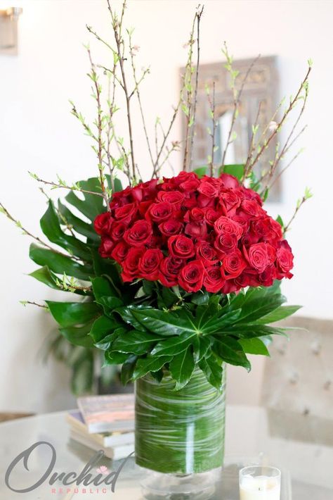 This swoon-worthy flower arrangement features 8 dozens of breathtaking fiery red roses amidst large Monstera leaves as its backdrop. Adorned with lush greens and branches, it sits elegantly in tall cylindrical glass vase lined with bear grass. Flower Arragement, Love Rosie, Ecuadorian Roses, Monstera Leaves, Green Vase, Romantic Roses, Fiery Red, Elegant Flowers, Monstera Leaf