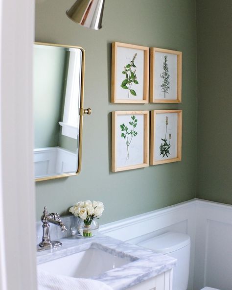 Farrow & Ball on Instagram: “"Just the statement this little room needed." – @theeverygirl co-founder @alainakaz on painting her powder room #Lichen, the perfect muted…” Inspiration Wc, Green Powder Room, Makeover Kamar Mandi, Gray Interiors, Downstairs Toilet, Powder Room Design, Toilet Room, Bathroom Paint Colors, Green Interiors