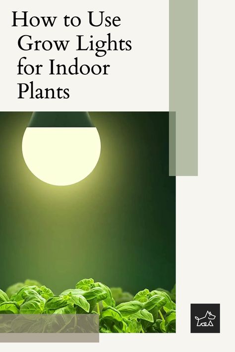 "Boost Your Plants' Health with the Right Grow Lights": Explore how grow lights can enhance the health and vitality of your indoor plants. This pin provides tips on selecting the best grow lights for different plant types, setting up an efficient lighting system, and adjusting light exposure to mimic natural sunlight cycles. Houseplant Grow Light Set Up, Types Of Lights, Plant Types, Best Grow Lights, Creative Interior, Creative Interior Design, Health And Vitality, Led Tube Light, Budget Friendly Decor