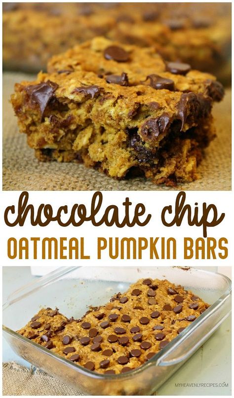 Chocolate Chip Oatmeal Pumpkin Bars-fall dessert treat idea to make. Oatmeal Pumpkin Bars, Fall Treat Ideas, Pumpkin Oatmeal Bars, Chewy Oatmeal Bars, Pumpkin Spice Oatmeal, Oatmeal Pumpkin, Oatmeal Chocolate Chip Bars, Autumn Dessert, Pumpkin Cravings