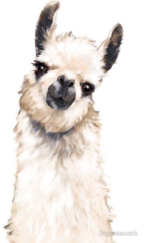 Llama #cutellama #llamaart #llamaface Lama Animal, Llama Drawing, Llama Pictures, Llama Painting, Llama Face, Llama Arts, Llama Alpaca, Cute Llama, Animale Rare