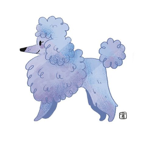 Dog Illustration Art, Poodle Drawing, Dog Books, Dog Socks, Funny Illustration, Funny Doodles, Dog Illustration, Animal Sketches, Poodle Dog