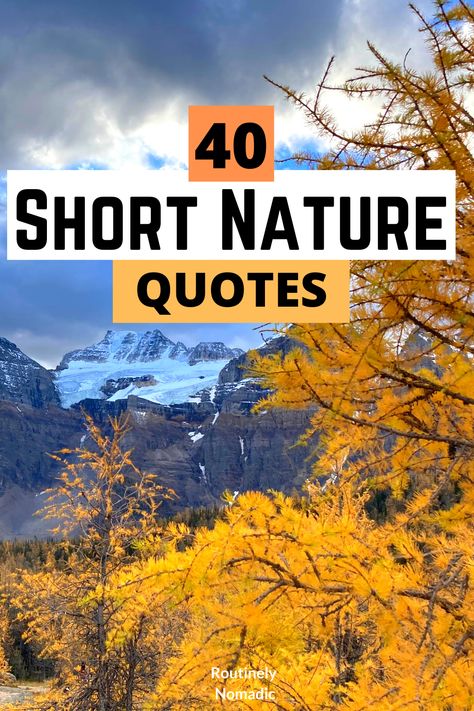 Live In Nature Quotes, Finding The Beauty Quotes, Be With Nature Quotes, Nature And Art Quotes, Who Would Have Thought Quotes, Nature Loving Quotes, Nature Quotes One Word, Nature Is My Therapy, Nature Inspiration Quotes