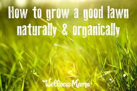 How to grow a good lawn naturally and organically Natural Lawn, Organic Lawn Care, Synthetic Lawn, Lawn Care Business, Diy Lawn, Wellness Mama, Lawn Fertilizer, Lawn Mowing, Lawn Care Tips