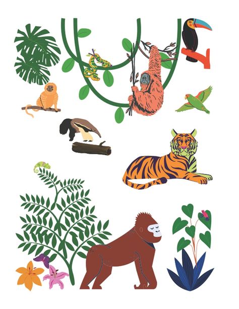 Sketchbook: Rainforest Jungle Theme Blank Pages Doodling Drawing Coloring Paperback Jungle Sketch, Sketchbook Notebook, Jungle Flowers, Drawing Writing, Animal Doodles, Vbs Crafts, Jungle Theme, Blank Page, Notebook Journal