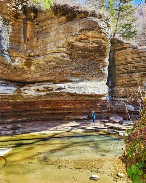 Ozark National Forest, Mass Timber, Ozark Mountains, Mountain Life, Canopies, National Forest, Most Beautiful Places, Childhood Memories, Eden