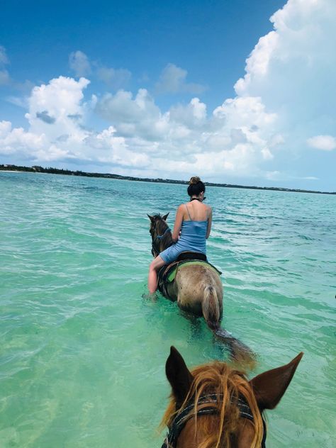 6 Can't Miss Family Activities in Turks and Caicos Turks And Caicos Honeymoon, Turks And Caicos Vacation, Thailand Activities, Beaches Turks And Caicos, Grace Bay Beach, Grace Bay, Beach Activities, Koh Tao, Summer Bucket Lists