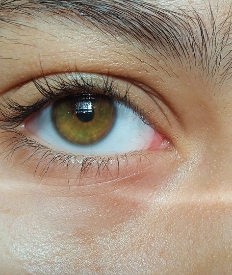 Green brown amber eye Brown Eyes With Green Rings, Amber Green Eyes, Brown Green Eyes, Amber Eyes Color, Coloured Eyes, Eyes Aesthetic, Beautiful Eyes Color, Acrylic Painting Diy, Amber Eyes