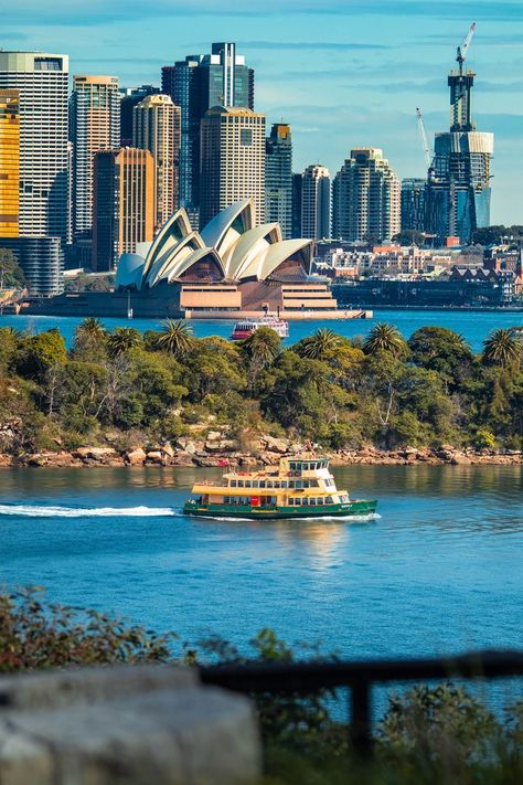 Beautiful Skylines Cities, Australia Wallpaper, Australia City, Sidney Australia, Things To Do In Sydney, Buildings Photography, Sydney City, Sydney Harbour, Samoa