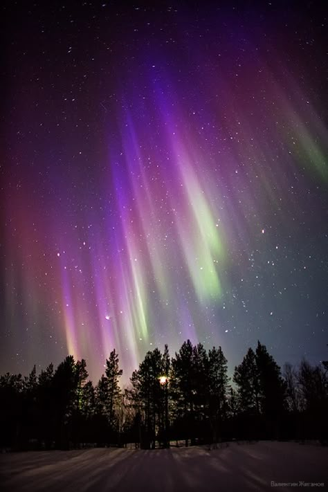 Aurora Sky, Aurora Australis, Northern Lights (aurora Borealis), Aurora Borealis Northern Lights, New Retro Wave, Image Nature, Natural Phenomena, Beautiful Sky, Light Photography