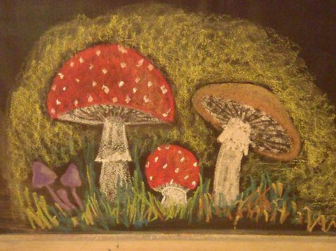 Waldorf ~ 5th grade ~ Botany ~ Mushrooms ~ chalkboard drawing Chalkboard Drawing, Pasteles Halloween, Blackboard Drawing, Blackboard Art, Kindergarten Art Projects, Form Drawing, Mushroom Crafts, Chalkboard Drawings, Chalkboard Designs