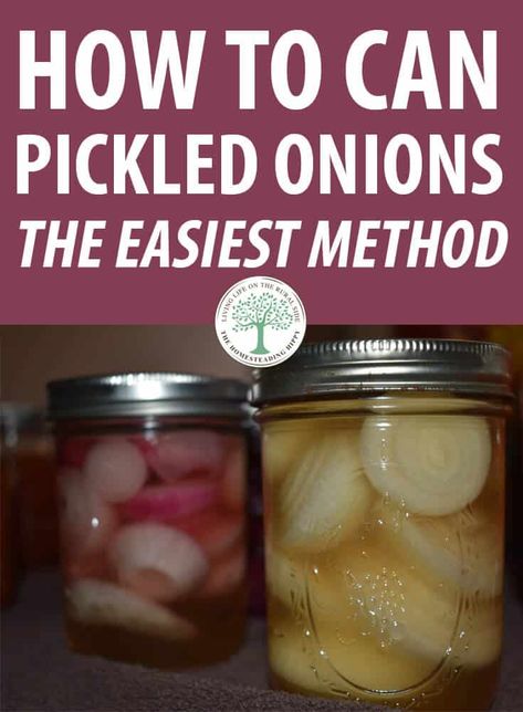 Canning pickled onions is easier than you think. They are a staple for salads, burgers and a whole bunch of other recipes, so learn to can them today! #onions #canning #recipe Pickled Onions For Canning, Canned Onions Recipe, Pickled Onions Canning Recipe, Canned Pickled Onions, Canning Pickled Onions, Canned Onions, Canning Onions, Can Onions, Pickled White Onions