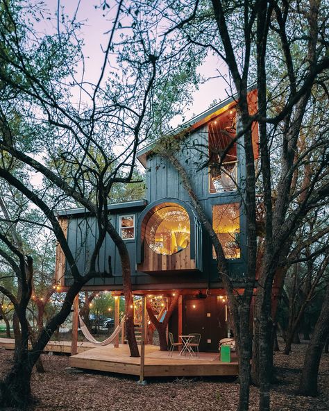 60 Ways to Explore Central Texas This Summer - Austin Monthly Magazine Cool Tree Houses, Luxury Cabin, Live Oak, Central Texas, Cabin In The Woods, Adventure Park, Cabin Homes, Tiny Living, Chic Home