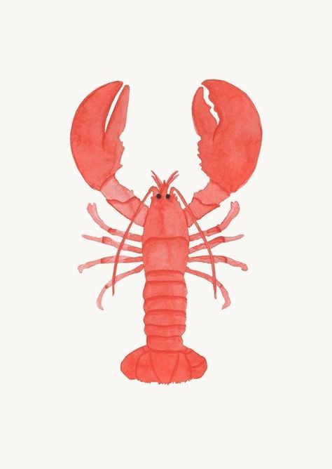 Lobster Aesthetic, Lobster Drawing, Maine Lobster Festival, David Foster Wallace, Sea Goddess, David Foster, Mr Krabs, Literature Review, Maine Lobster