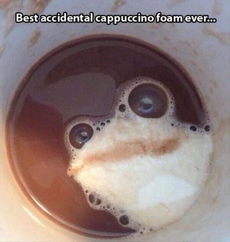 Funny Pictures which Delivers a Laugh Instantly A Coffee, Coffee Cup, Coffee, Water