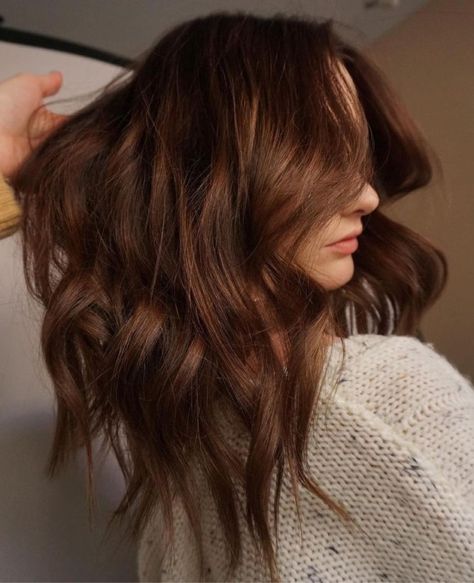 Chocolate Brown Hair Fair Skin, Summer 2024 Hair Color Trends Brunette, Cinnamon Brown Hair, Warm Brown Hair Color, Brown Auburn Hair, Cinnamon Hair Colors, Brown Hair Color Shades, Warm Brown Hair, Natural Brown Hair