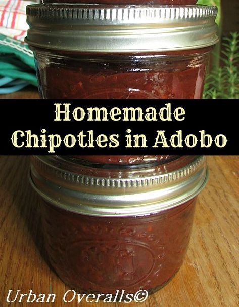 Canning Pressure Cooker, Canning Granny, Adobe Sauce, Chipotle In Adobo Sauce, Preserving Recipes, Homemade Chipotle, Adobo Recipe, Canning Ideas, Canning Food