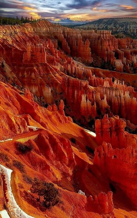 Southern Utah Hikes and Adventures | Twilight Sky over Bryce Canyon National Park | Facebook Log Home Designs, Twilight Sky, Utah Hikes, Beautiful Landscape Photography, Southern Utah, Bryce Canyon National Park, Bryce Canyon, Great Artists, Natural World