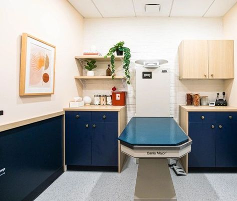 I really like the layout of the exam rooms, the dark cabinets and the dark lower wall-- it's hard to keep them clean! I like the open shelving which you don't often see Vet Pictures, Vet Office Decor, Vet Office, Astoria Queens, Vet Clinic, Clinic Interior Design, Office Remodel, Outdoor Living Design, Vet Clinics