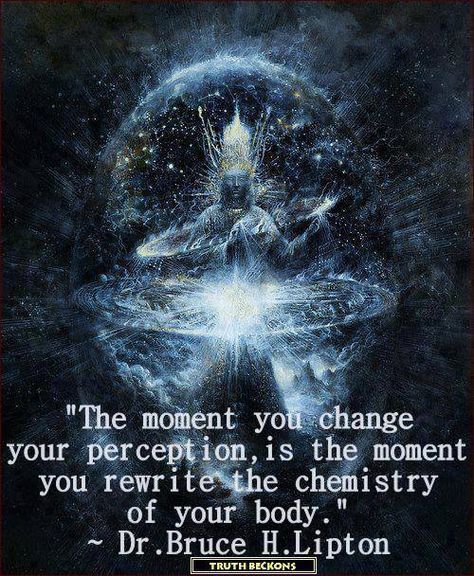 "The moment you change your perception is the moment you rewrite the chemistry of your body." Dr. Bruce H. Lipton Artistic Poetry, Bruce Lipton, A Course In Miracles, Quantum Physics, New Energy, A Quote, Akita, The Science, Spiritual Journey