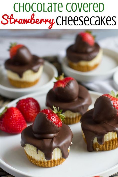 Light and fluffy, these delectable cheesecakes are topped with chocolate covered strawberries. Chocolate Covered Strawberry Cheesecake, Brownie Vegan, Banana Split Dessert, Resipi Kek, Mini Cheesecake Recipes, Chocolate Covered Strawberry, Oreo Dessert, Mini Cheesecakes, Dessert Bar