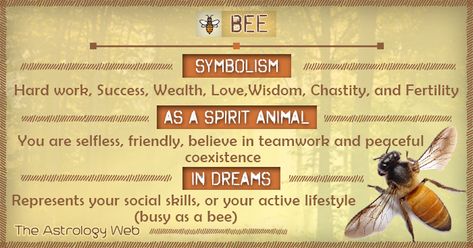 Bee Symbolism Spirit Animal Dream Bee Meaning, Bee Spiritual Meaning, Red Bee, Spirit Animal Meaning, Animal Meanings, Spirit Animal Totem, Spiritual Animal, Animal Spirit Guides, Animal Medicine