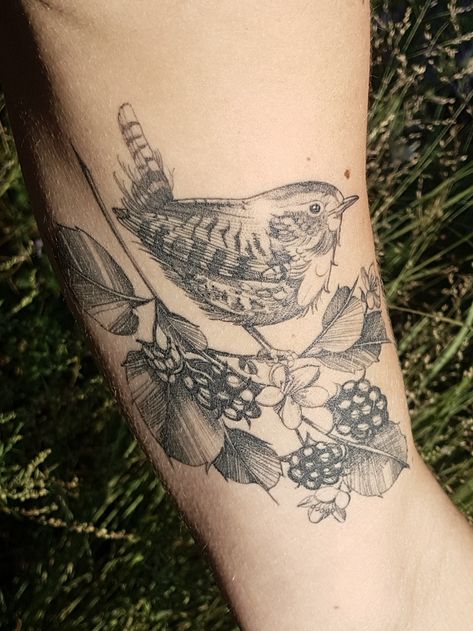 Wren Tattoos, Wren Tattoo, Finch Tattoo, Wörter Tattoos, Harry Tattoos, Autumn Tattoo, Floral Tattoo Sleeve, Cute Tiny Tattoos, Tattoo Meaning