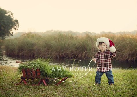 Adorable Christmas card!  Add dogs of course, now to find a cute sled... Outdoor Christmas Photography, Toddler Christmas Cards, Christmas Family Photography, Christmas Pictures Ideas, Christmas Pictures Family, Toddler Christmas Photos, Christmas Pic, Christmas Card Pictures, Christmas Children