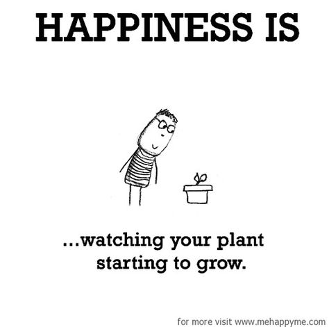 Happiness : A collection of funny but true cartoon sketches about what happiness is. Trees Poetry, Succulent Quotes, Gardening Memes, Plants Quotes, Happiness Project, Garden Quotes, Flower Quotes, Nature Quotes, Happy Thoughts