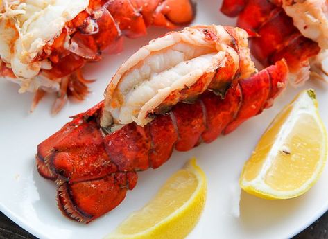 Learn how to make steamed lobster tails at home with this simple tutorial. Double this recipe as needed. Sous Vide Lobster Tail, Easy Romantic Dinner, Birthday Dinner Ideas, Gourmet Entrees, Steamed Lobster, Frozen Lobster, How To Cook Scallops, Lobster Dishes, Lobster Recipes Tail