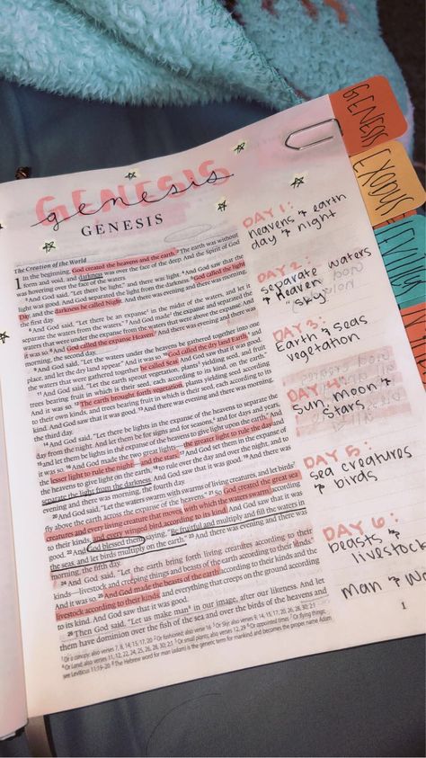 Bible Annotating Ideas, Genesis Aesthetic Bible, Genisis Bible Notes, Bible Doodles Genesis, Bible Genesis Notes, Genesis Annotations, Genesis Highlighting, Bible Notes On Genesis, Bible Notes For Genesis